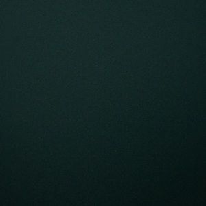 Meet your Posher, Tonya